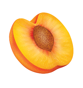 PÊCHE